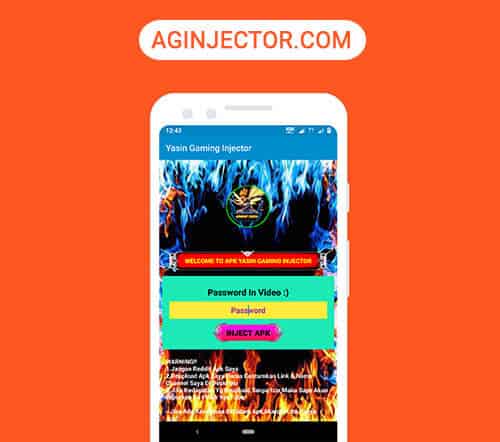 enter-password-to-open-yasin-gaming-injector