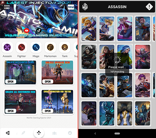 open-warlito-injector-and-inject-skins